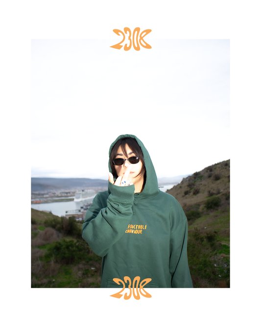 Chaos Hoodie